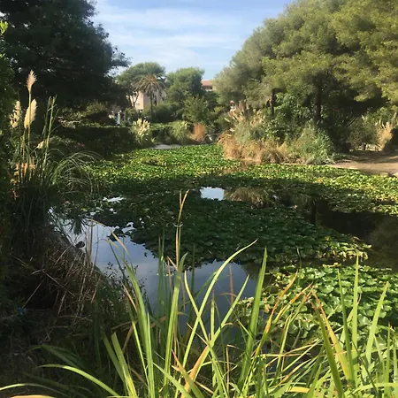 Vue 180 Degres Mer-colline, Plages 100m, Piscine, Box , Domaine Coudouliere Six Four Les Plages * Six-Fours-les-Plages