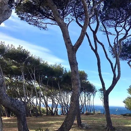 Vue 180 Degres Mer-colline, Plages 100m, Piscine, Box , Domaine Coudouliere Six Four Les Plages Six-Fours-les-Plages